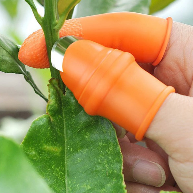 Garden Picker